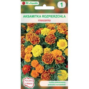 Opakowanie nasion aksamitki rozpierzchłej 'Aksamitka Rozpierchła' mieszanka z kwiatami żółtymi, pomarańczowymi i czerwonymi.