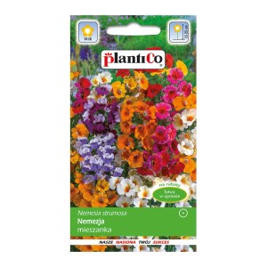 Opakowanie nasion Nemezji 'Nemezja mieszanka' z kolorowymi kwiatami. Nasiona kwiatów na rabaty i balkony.
