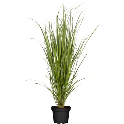 Trawa mix don. 19 cm