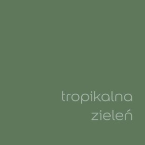 Próbka koloru farby do ścian t.b.t. w tropikalnej zieleni.