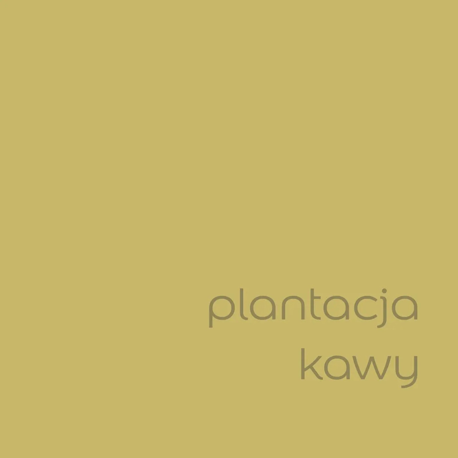 t.b.t. farba do ścian w kolorze złocistobrązowym. Kolorowe farby do ścian do wnętrz.