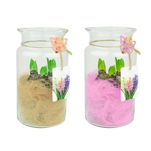 Dwa hiacynty w szklanych wazonach z dekoracją, Rośliny cebulkowe i bulwiaste.