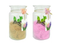 Hiacynt w szkle dekoracja 25 cm - śr. 14 cm