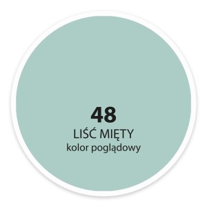 Próbka koloru "Liść mięty" (nr 48) do farb ściennych. Kolor do dekoracji ścian.