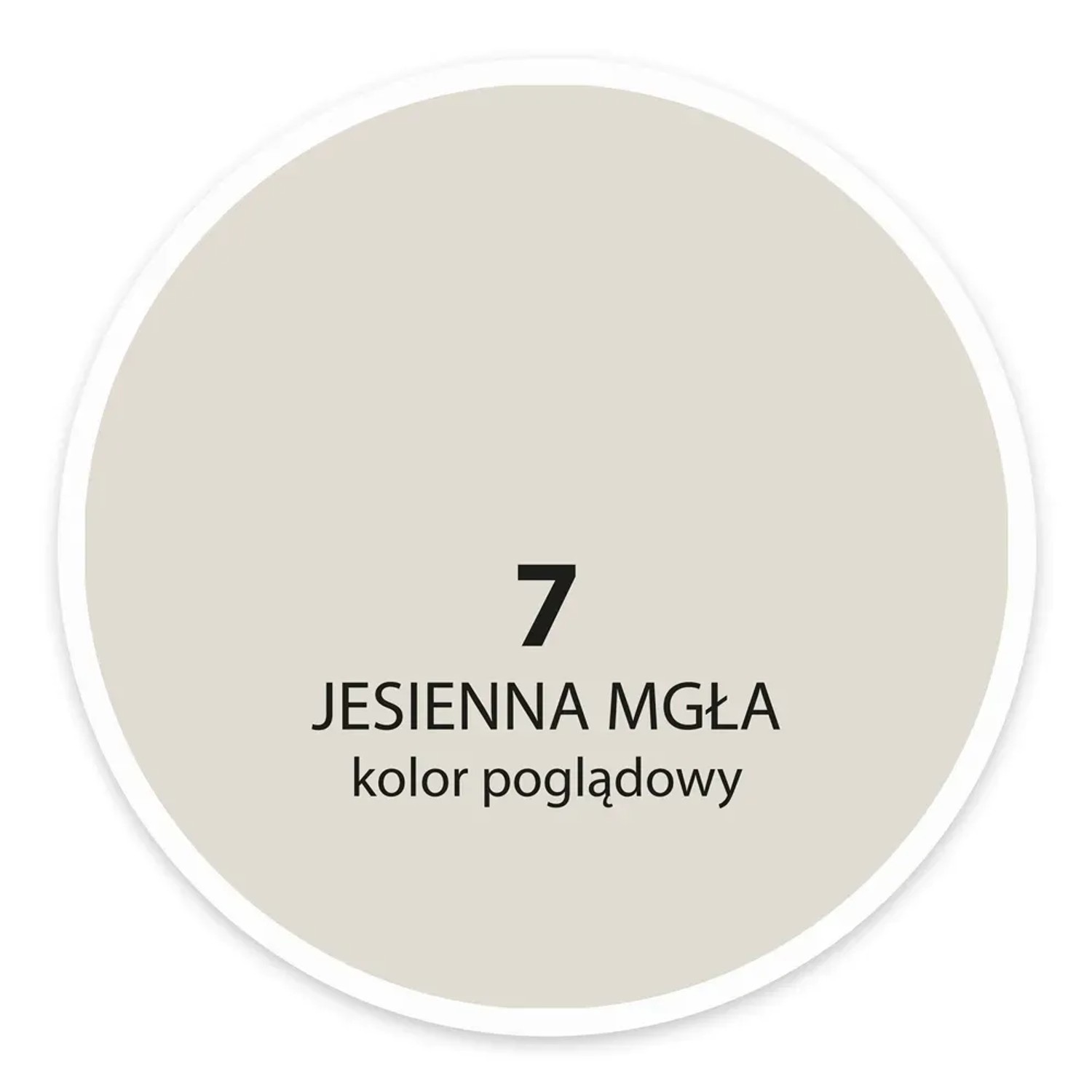 Próbka koloru Jesienna Mgła 7 do farb ściennych. Odcień koloru do wglądu.