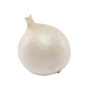 Jasna cebula, warzywo do różnych potraw.