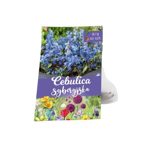 Opakowanie cebulicy syberyjskiej (Cebulica syberyjska), kategoria cebulki kwiatowe.