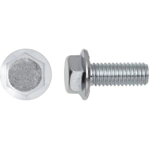 Śruby z łbem sześciokątnym kołnierzowe, 6 mm x 20 mm, stal, 8 sztuk. Wkręty do blachy.