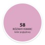 Próbka koloru farby do ścian, Odcień Różowy Kwarc (58).