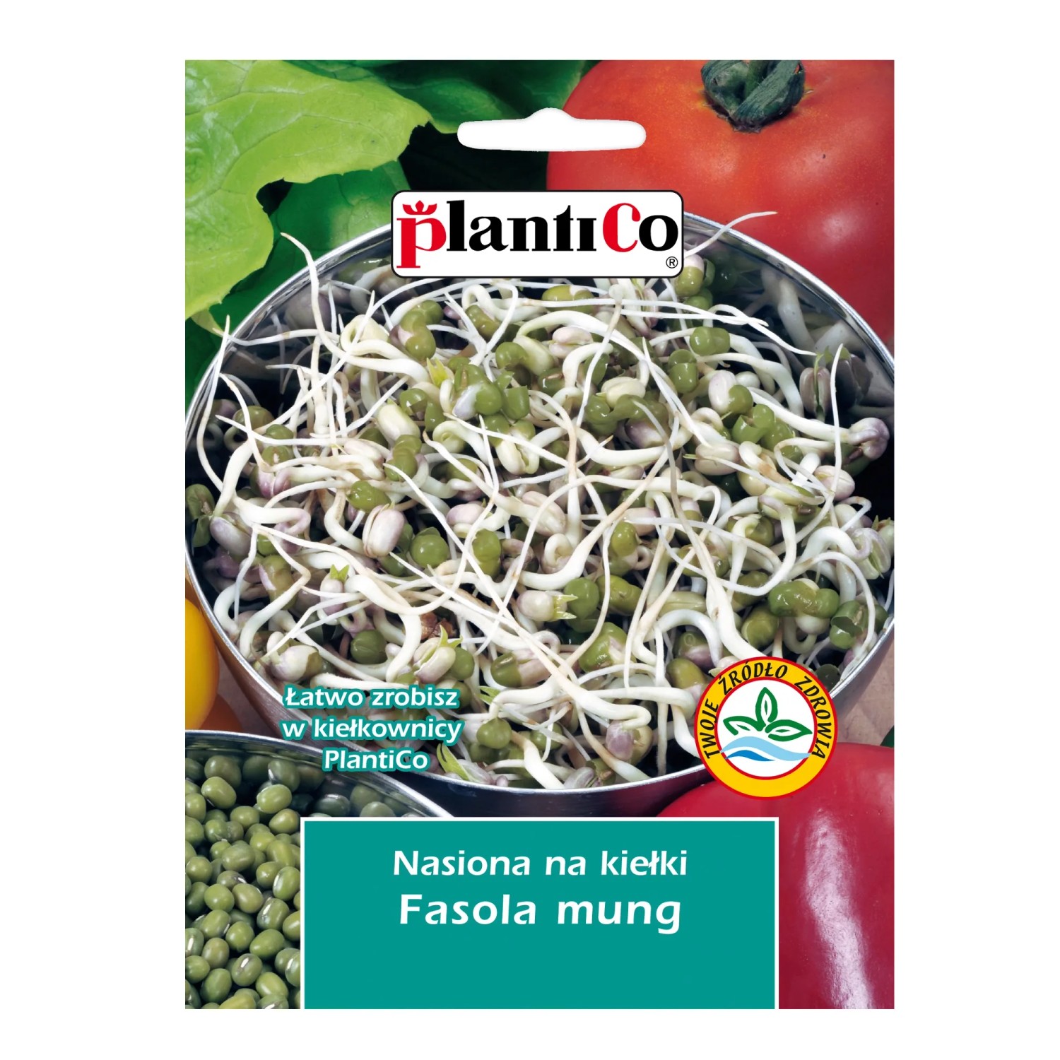 Kiełki fasoli mung