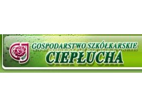 Ciepłucha