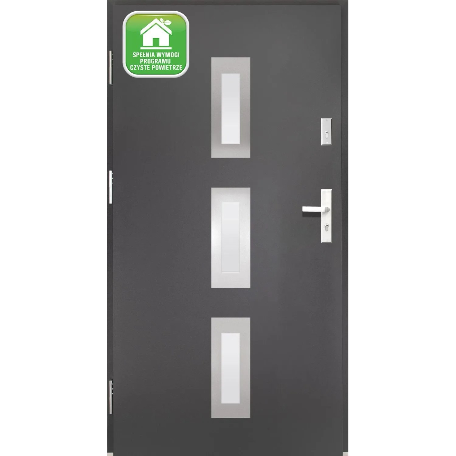 Splendoor Drzwi zewnętrzne Dorno antracyt 90L