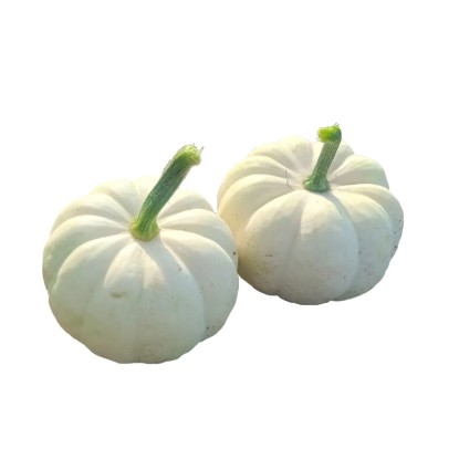 Dynia ozdobna Casperita - 0,2 kg