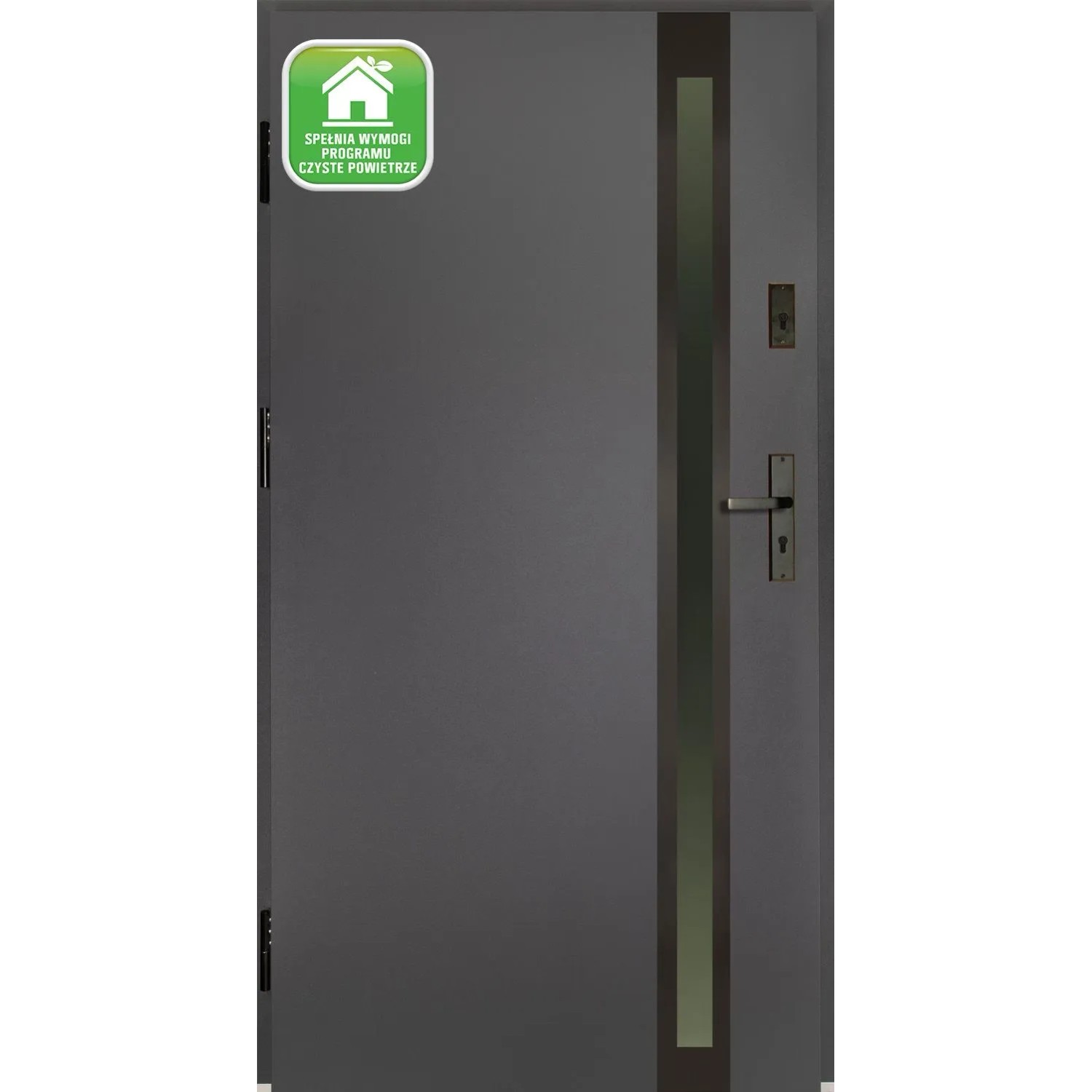 Splendoor Drzwi zewnętrzne Amara antracyt 90L