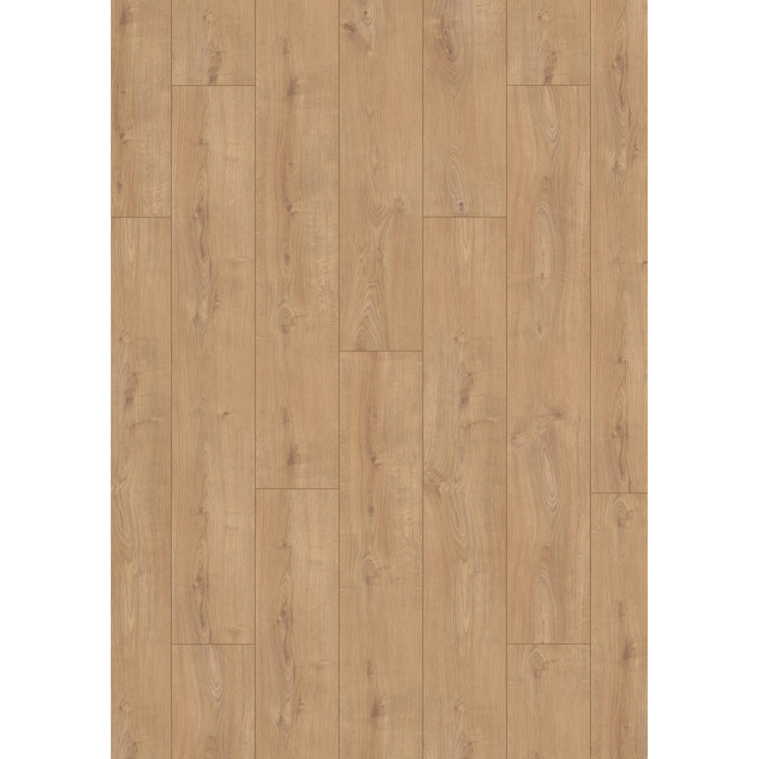 Kronospan Panel podłogowy Dąb Sherwood 8 mm AC 5