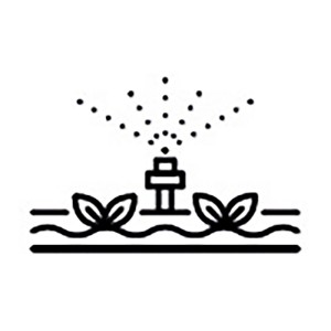 Symbol systemu nawadniania Biohort do podwyższonej grządki/szklarni: Rośliny z nawadnianiem kropelkowym.