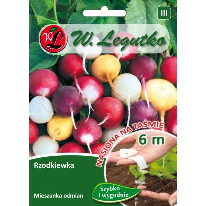 Rzodkiew mix odmian kulistych taśma - 6 m