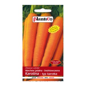 Opakowanie nasion marchwi "Karotina" Plantico, z pomarańczowymi marchewkami.