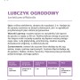 Lubczyk ogordowy - 0,5 g_2