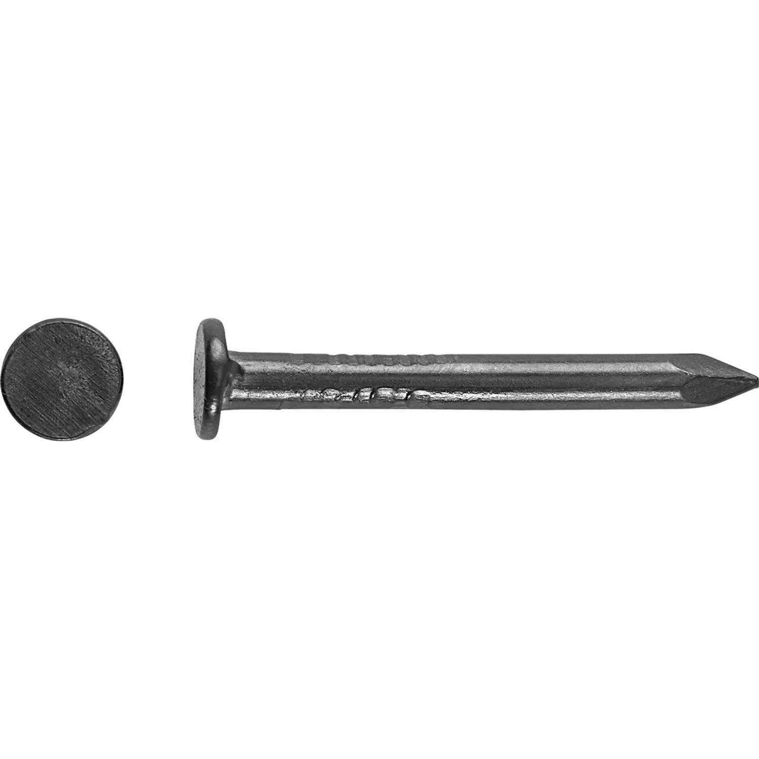 LUX-TOOLS Gwoździe tapicerskie gładkie Ø 2,5 mm x 25 mm niebiesko 70 szt