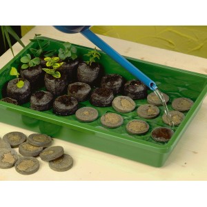 Tabletki do rozsady w zielonej tacy podlewane niebieską konewką.