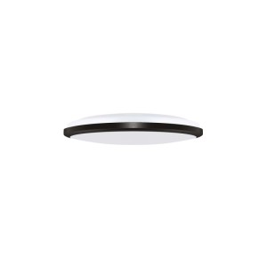 Struhm Plafoniera zewnętrzna PLANAR LED 12W 1320lm 4000K IP54 śr. 21,5cm czarna
