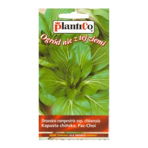 Opakowanie nasion Kapusty Chińskiej Pak Choi marki Plantico.