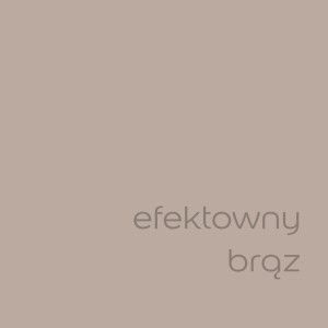 Próbka koloru t.b.t. Efektowny brąz do ścian wewnętrznych.