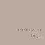 Próbka koloru t.b.t. Efektowny brąz do ścian wewnętrznych.