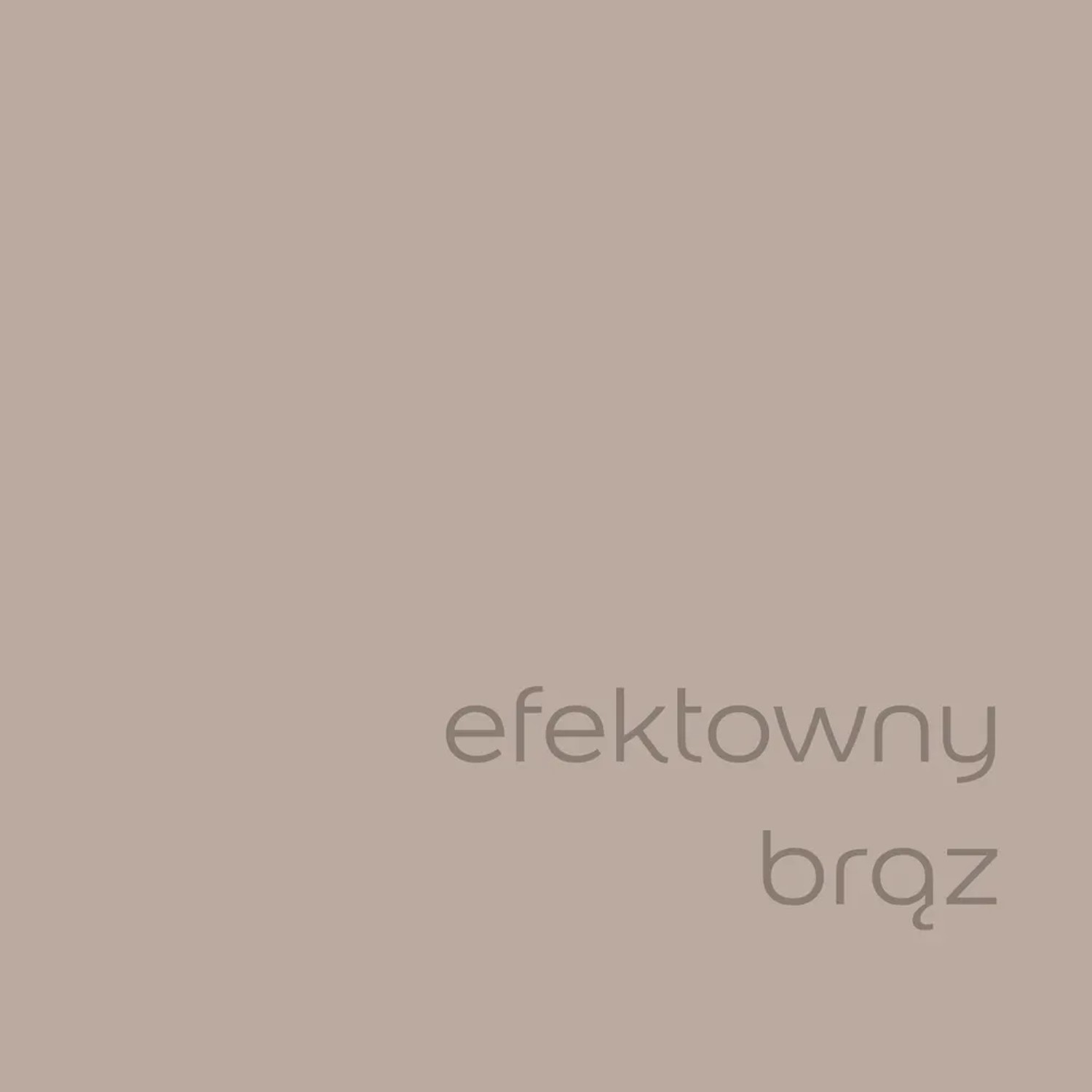 Próbka koloru t.b.t. Efektowny brąz do ścian wewnętrznych.