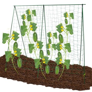 Kratka z ogórkami w ogrodzie. Pomocne narzędzie ogrodnicze dla roślin.