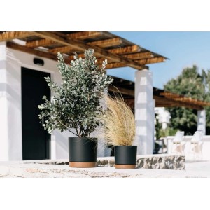 Dwie czarne doniczki t.b.t. z roślinami na tarasie.