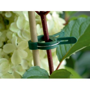 Zielone klipsy do roślin (20 szt.) w 3 rozmiarach mocują pęd do tyczki.