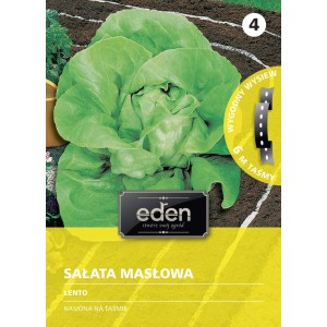 Sałata masłowa Lento - 6 m