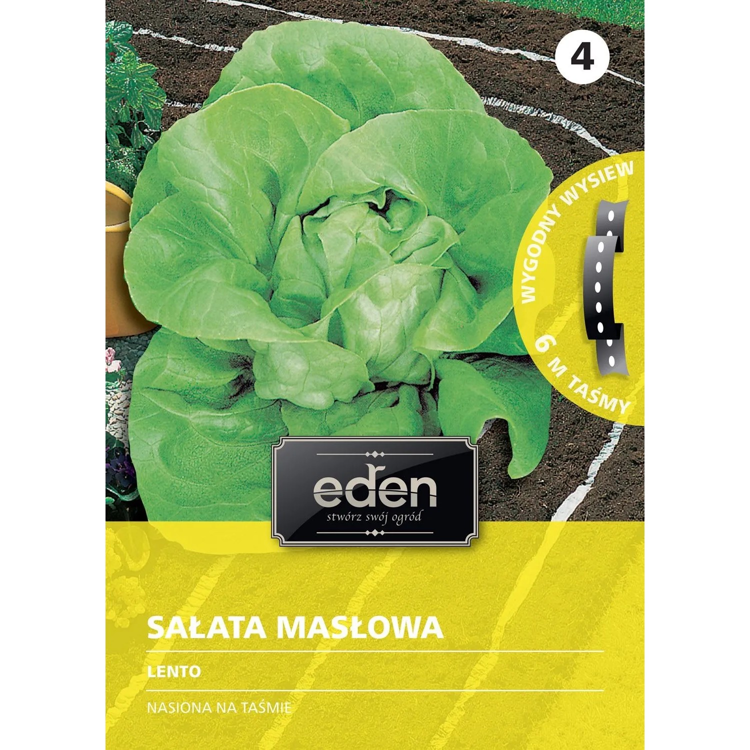 Sałata masłowa Lento - 6 m