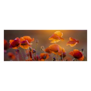 Dekoracyjny obraz z makiem do przestrzeni mieszkalnych.