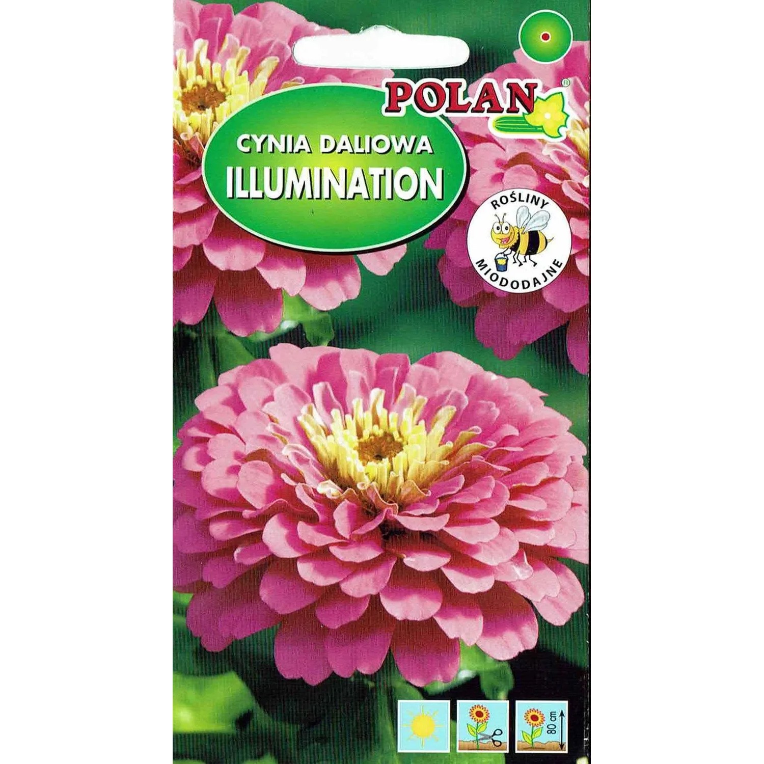 Cynia Daliowa różowa Illumination 1 g