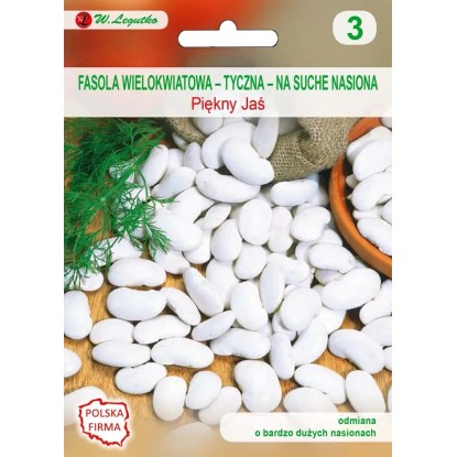 Fasola zwykła (Phaseolus vulgaris) Gold Marie Mamut - 10 g