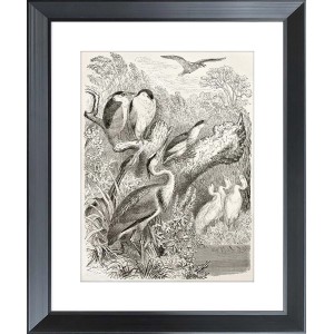 ARS LONGA Obraz BIRDS GATHERING 45 x 55 cm