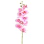 Storczyk gałązka white-dark pink - 85 cm