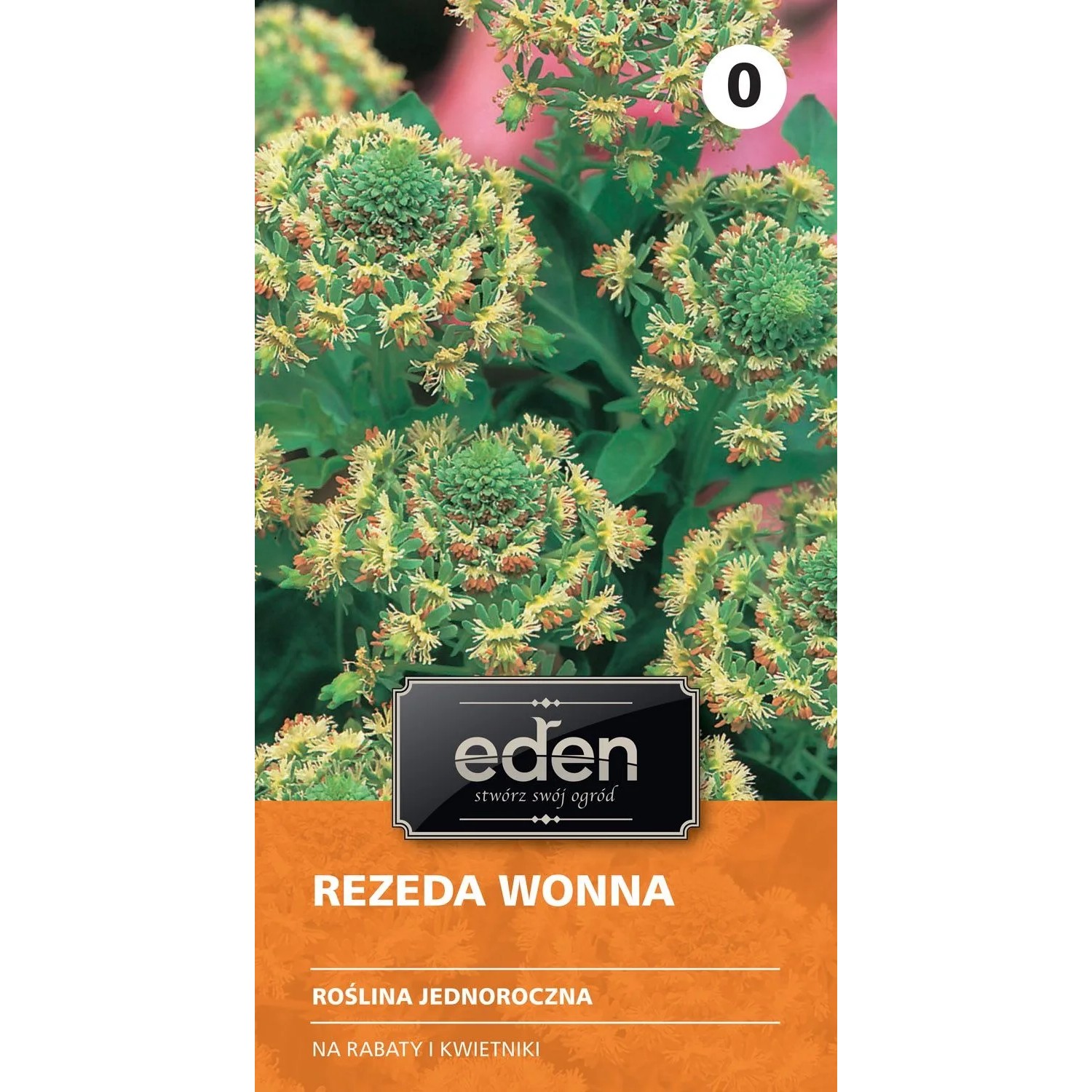 Rezeda wonna wielkokwiatowa - 1 g