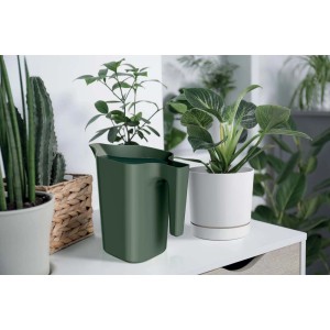 Zielona konewka obok roślin doniczkowych na stole.