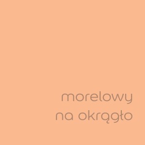 Próbka koloru t.b.t. morelowy do farb ściennych.