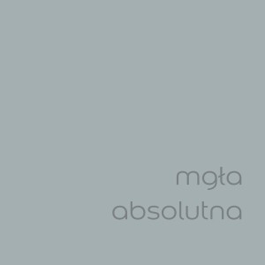 Próbka koloru farby do ścian t.b.t. w kolorze szarym, dostępna w OBI.