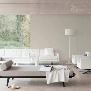 Pokój dzienny z farbą do ścian t.b.t. z kategorii Kolorowe farby do ścian.