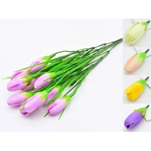 Dekoracyjne kwiaty ogrodowe, różne kolory.