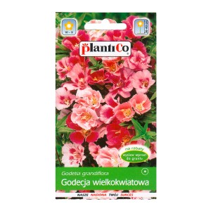 Opakowanie nasion Godetia grandiflora (azalii letniej) z różowo-czerwonymi kwiatami.