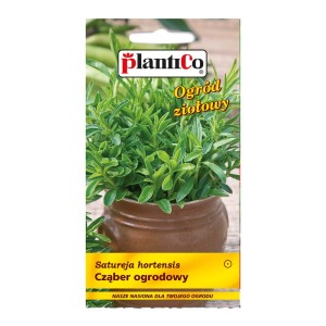 Zdjęcie nasion cząbru (t.b.t.) w doniczce. Nasiona ziół do ogrodu.