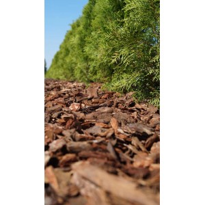 Zbliżenie na brązową korę drzewną jako korę ogrodową (Kora ogrodowa) obok zielonych krzewów.