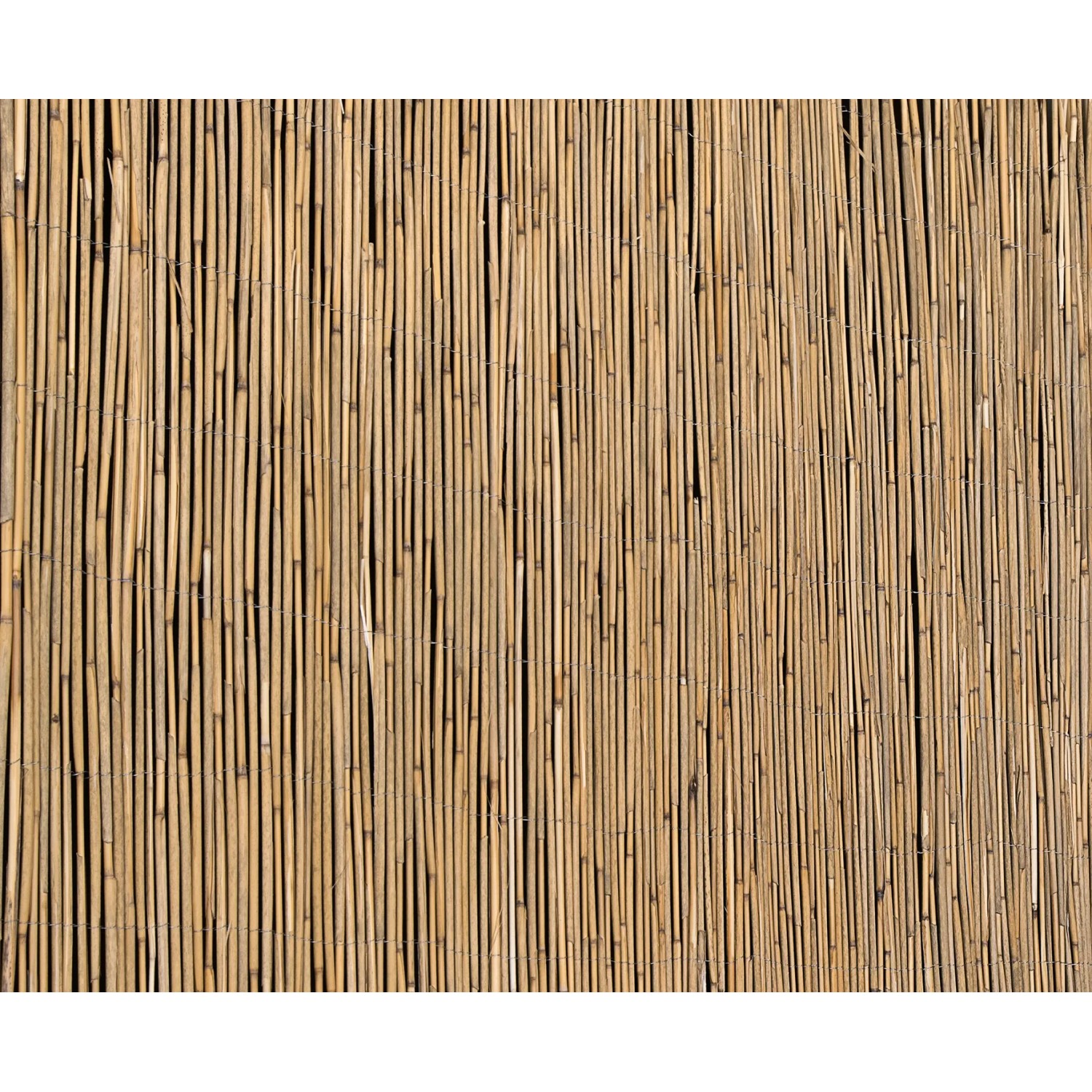 Mata trzcinowa Floraworld, 200x600 cm, jako naturalna osłona na balkon i do ogrodu.